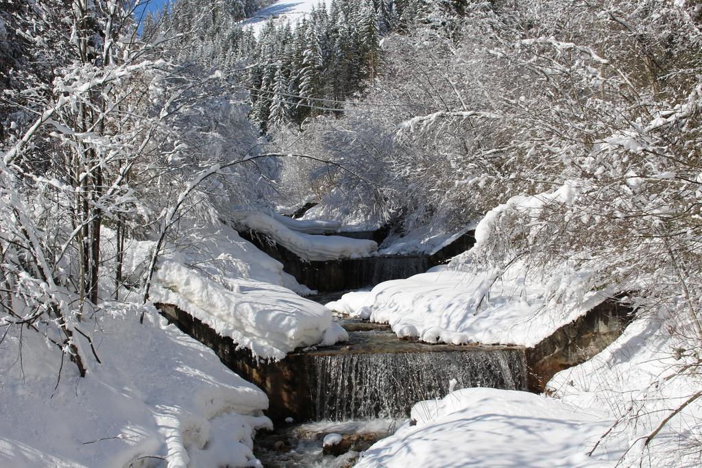 Bad Bergfallerhof Olang Zewnętrze zdjęcie