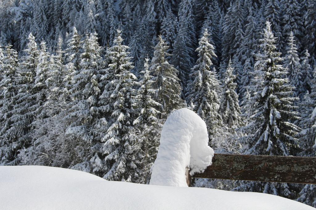 Bad Bergfallerhof Olang Zewnętrze zdjęcie